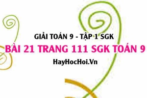 Giải bài 21 trang 111 SGK Toán 9 tập 1